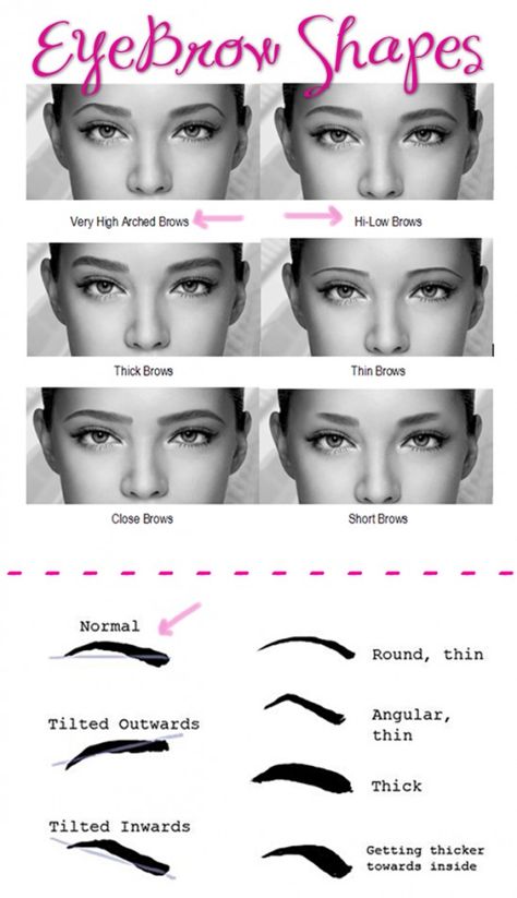 Eyebrow shapes. Fix Eyebrows, Different Eyebrow Shapes, Types Of Eyebrows, Career Girl Daily, Arched Eyebrows, Thick Brows, Nose Shapes, Thick Eyebrows, Brows On Fleek