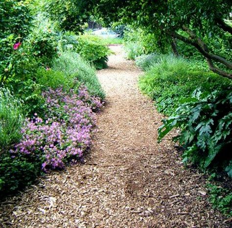 A mulch path using plantings as edging. Wood Chips Garden, Backyard Path, Cap Inspiration, Residential Garden, Garden Pathways, Pergola Pictures, Residential Landscaping, Walkways Paths, Path Ideas