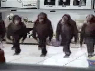 via GIPHY Monkey Gif, Zumba Songs, Monkey Funny Videos, Zumba Quotes, Monkey Dance, Funny Happy Birthday Song, Birthday Greetings Funny, Dancing Animals, Happy Birthday Song