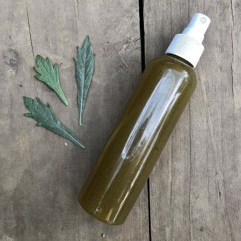 Mugwort Room Cleansing Spray Room Cleansing Spray, Room Cleansing, Mouth Spray, Cypress Essential Oil, Cleansing Spray, Medicine Chest, Herbal Recipes, Patchouli Essential Oil, Spiritual Cleansing