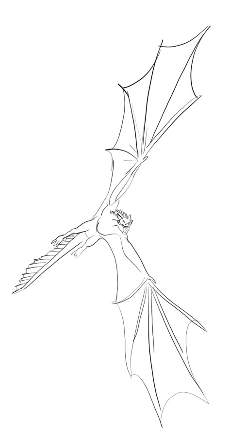 Dragon Sketch Flying, Wyvern Poses Reference, Wyvern Sketch, Wyvern Flying, Wyvern Drawings, Perched Dragon, Dragon Reference, Dragon Poses, Dragon Anatomy