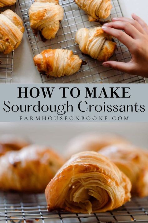 Farmhouse On Boone Croissants, Sourdough Discard Cresent Rolls, Sour Dough Sandwich Bread Recipe, Sourdough Discard Pastry, Sourdough Discard Crossaints, Sourdough Bread Fillings, Croissant Recipe Sourdough, Sour Dough Croissant, Sourdough Crissonts