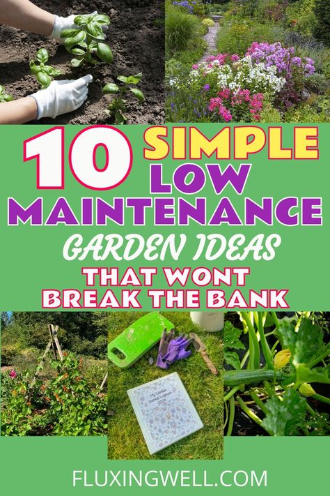 low maintenance gardening ideas on a budget Diy Flower Garden Ideas On A Budget, Easy To Maintain Garden Ideas, Easy Care Garden Ideas, Low Maintenance Garden Ideas On A Budget, Garden Maintenance Tips, Low Budget Garden Ideas, Easy Garden Ideas On A Budget, Low Maintenance Plants Outdoor, Smart Bed Design