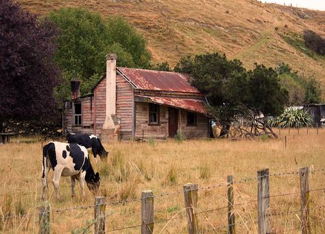 Farmhouse Old, Australian Farmhouse, Farmhouse Sheds, Australia Landscape, Old Country Houses, New Zealand Landscape, Irish Cottage, Colorful Paintings Acrylic, Old Fences