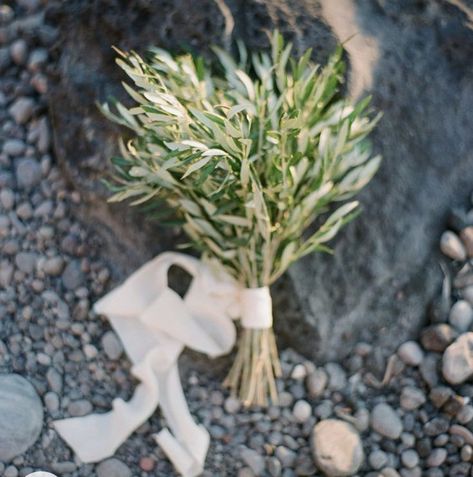 Wedding Flowers With Olive Leaves, Cute Small Wedding, Wedding Bouquets Ideas, Branch Bouquet, Olive Branch Wedding, Small Wedding Bouquets, Elegant Wedding Flowers, Olive Wedding, Couples Shoot