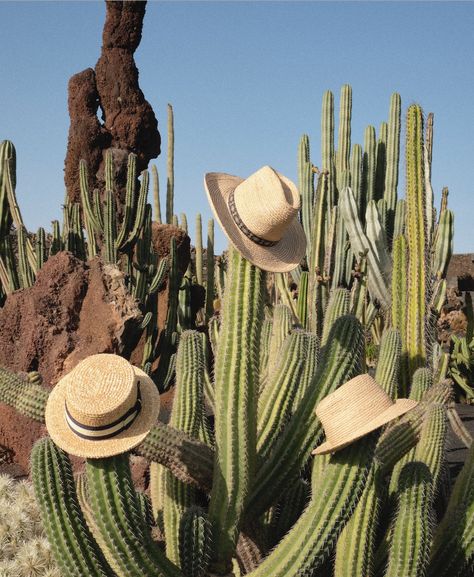 SS19 HATS - PHOTOGRAPHY BY ANTHONY SEKLAOUI, FASHION BY CHRIS HOBBS FOR MATCHESFASHION.COM Western Flatlay, Western Product Photography, Anthony Seklaoui, Outdoor Product Photography, Connor Roy, Hats Photography, Photo Dump Pics, Western Shoot, Nature Editorial