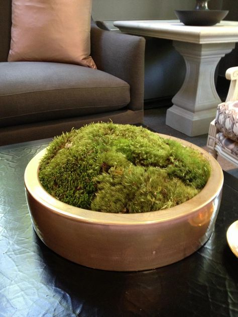 HGTV Gardens offers a number of ways to use moss indoors and out. Moss Arrangements, Moss Indoors, Moss Bowls, Moss Centerpieces, Plant Installation, Hgtv Garden, Gold Bowl, Natural Decor, Moss Garden