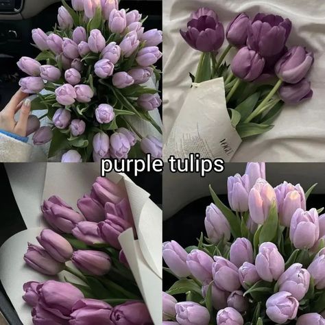 which one do you choose? ♡ follow @jeonrencia for more! 🌷 ✧₊˚. Pretty Flowers Pictures, Luxury Flower Bouquets, Boquette Flowers, Sunflower Wallpaper, Nothing But Flowers, Purple Tulips, Flower Therapy, Beautiful Flowers Garden, Beautiful Bouquet Of Flowers