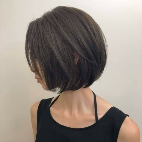 Japanese Short Hair, Korean Short Hair, Stylish Short Hair, Asian Short Hair, Hair Inspiration Short, Shot Hair Styles, Short Straight Hair, Penteado Cabelo Curto, Short Hair Haircuts