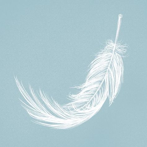 Feather Illustration Design, Feather Aesthetic, Feathers Illustration, Psd Aesthetic, Feather Symbolism, Feather Icon, Vip Ticket, Aesthetic Tumblr Backgrounds, Feather Illustration