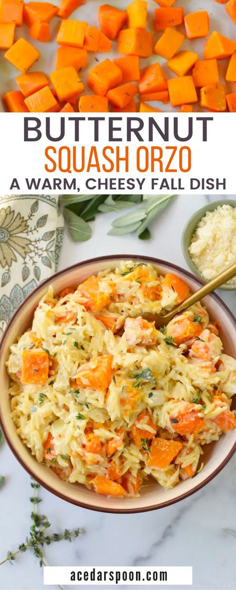 Butternut Squash And Orzo, Creamy Butternut Squash Orzo, Butternut Squash And Orzo Recipes, Orzo Butternut Squash Recipe, Butternut Squash Orzo Recipes, Fall Orzo Recipes, Fall Butternut Squash Recipes, Orzo Butternut Squash, Butternut Squash Meals