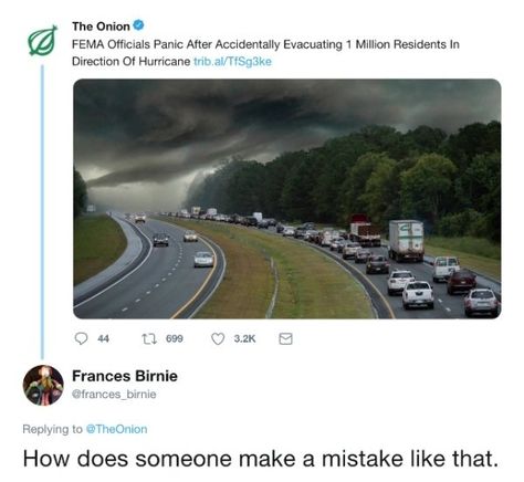 29 People Who Ate The Onion - Wow Gallery The Onion Headlines, Onion Headlines, Mouth Breather, The Onion, Weird News, Seriously Funny, What’s Going On, Tumblr Funny, Satire