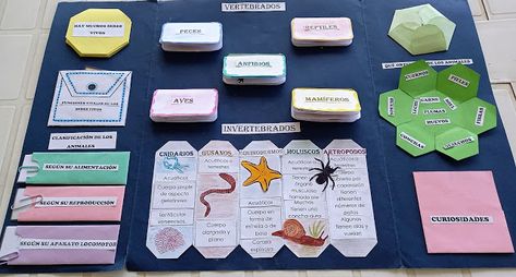 LO TIRO POR LA VENTANA: LAPBOOK DE LOS ANIMALES. 3º PRIMARIA Ideas Lapbook, Lapbook Ideas, Interactive Poster, Vertebrates And Invertebrates, Mind Map Design, File Decoration Ideas, Lap Book, Paper Crafts Magazine, Book Crafts Diy