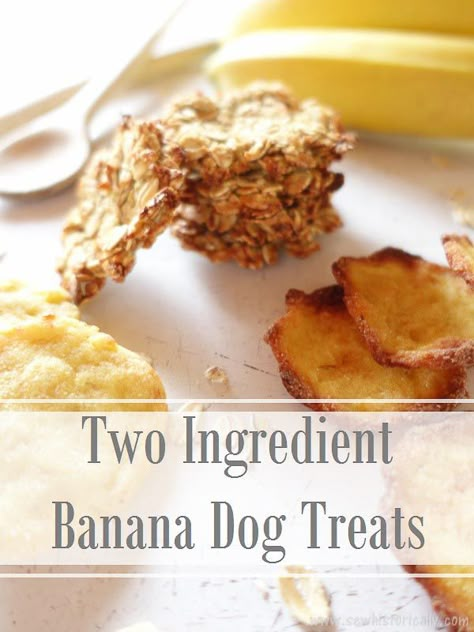 These 2 ingredient banana dog treats are quick to make with just two ingredients - banana & rolled oat or banana & semolina - they are sure to please your dog. The banana dog treats are so good you might just eat them yourself! Dog Cookies With Banana, Banana Oat Dog Treats, Puppy Recipes, Banana Dog Treat Recipe, Banana Dog Treats, Homemade Dog Cookies, Homemade Dog Treat Recipes, Banana Treats, Dog Treats Homemade Easy