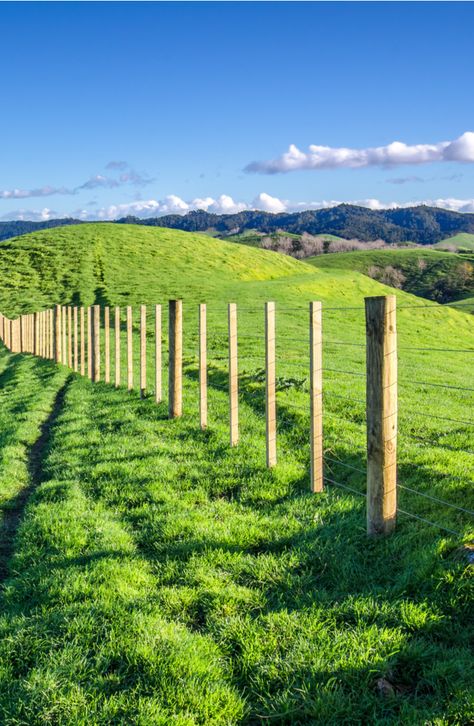 How To Set Posts Without Concrete: Step By Step, Tips - DIY Projects - Howtobuildit.com Landscaping Walls, Setting Fence Posts, Fence Post Installation, Horse Shelters, Concrete Step, Diy Horse Barn, Broken Concrete, Horse Shelter, Deer Fence