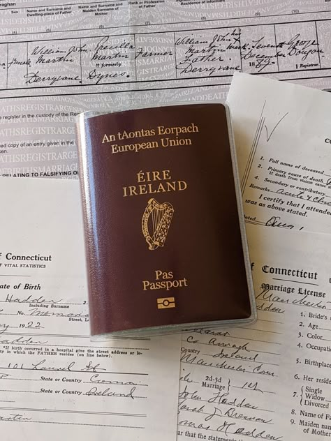 Irish Passport Aesthetic, Irish Citizenship, Irish Passport, Irish Aesthetic, Passport Services, Europe Trip Planning, Manchester Town Hall, New Passport, Irish Luck