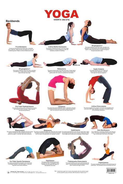 A Health Blog on Twitter: "Bridge pose is helpful for relieving menopause symptoms ➡ https://t.co/OPLD0xwvCV https://t.co/GmBya38xqr" Yoga Chart, Poses Easy, Membakar Lemak Perut, Yoga Backbend, Yoga Nature, Poses For Beginners, Yoga Beginners, Yoga Posen, Yoga Exercises