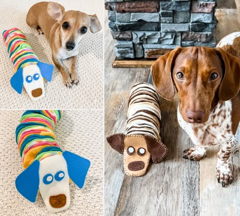 DIY Slinky Dog Snuffle Toy Dog Toys To Make And Sell, Snuffle Snake Diy, Diy Dog Snuffle Toy, Diy Slinky, Snuffle Mat Diy, Snuffle Mat Diy Homemade Dog, Diy Dog Sniff Toy, Dog Toys Diy Homemade, Diy Dog Snuffle Mat