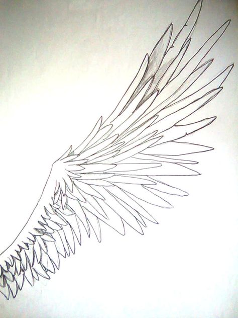 Wings Side View, Human With Wings, Anime Side View, Human Wings, Inspirational Drawings, Side View Drawing, Angel Wings Drawing, Human Character, Wings Drawing