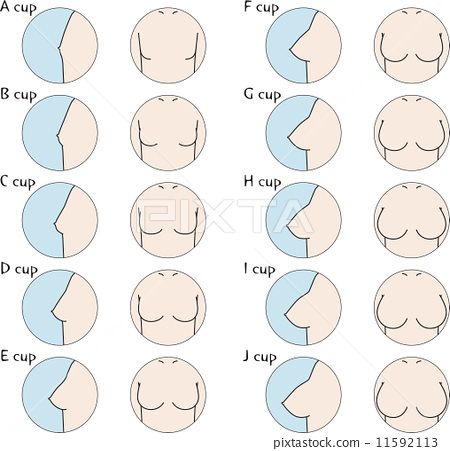 Human Anatomy Reference, Body Type Drawing, Female Anatomy Reference, Human Body Drawing, Drawing Female Body, Body Drawing Tutorial, Human Anatomy Drawing, Human Figure Drawing, Body Reference Drawing