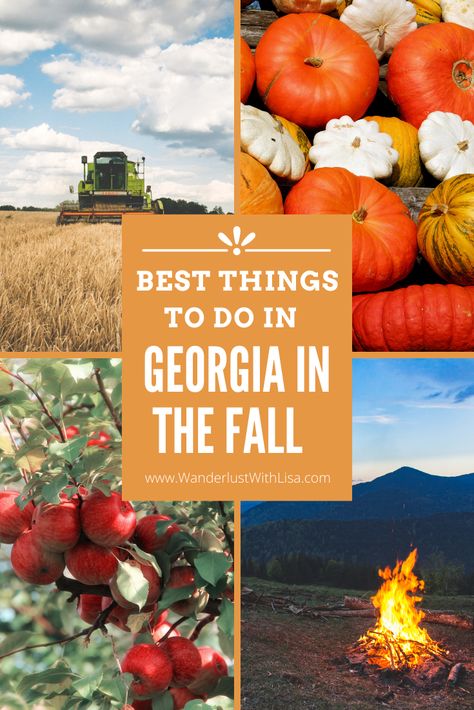 Explore Georgia's best fall traditions using this guide! #exploregeorgia #travelblogger #explorewithme Things To Do In Georgia, Fall Traditions, Scarecrows For Garden, Southern Usa, Helen Georgia, Travel Georgia, Best Pumpkin Patches, Autumn Travel, Visit Georgia