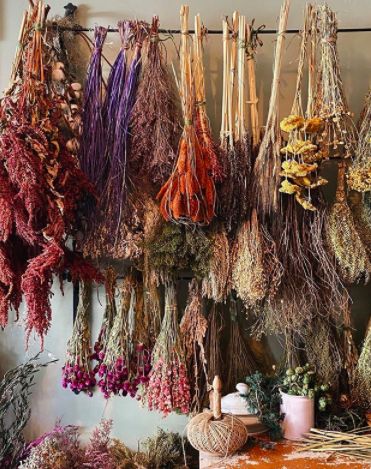 Dried Flower Backdrop, Herbalist Shop, Pink Larkspur, Autumn Witch, Witch Cottage, Herbal Apothecary, Dried Herbs, Witch Aesthetic, Edible Flowers