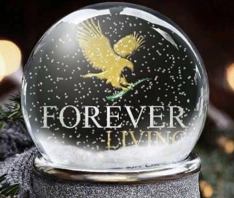 Forever Living Business, Forever Living Aloe Vera, Forever Products, Forever Living, Forever Living Products, Aloe Vera, Boutique, Drinks, Christmas