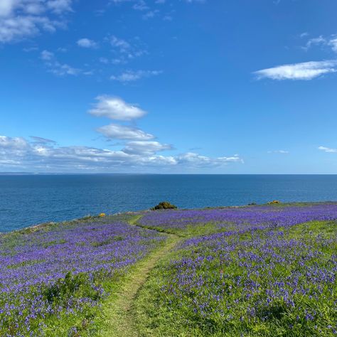 #fife #scotland Spring Scotland, Scotland Summer, Scotland Aesthetic, Fife Coastal Path, Fife Scotland, Countries To Visit, Gap Year, Summer 24, Family History