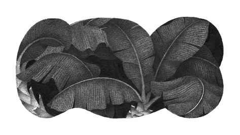 Banana plants on Behance Textile Fiber Art, Grey Art, Love Illustration, Black And White Illustration, Art Practice, Graphic Design Posters, Cute Illustration, Book Design, Art Inspo