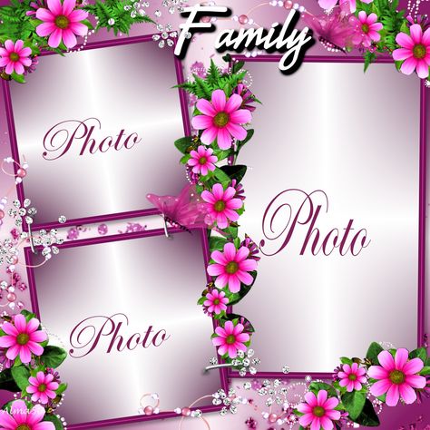 Family Frame #Alma50 #pictureFrames Family Photo Frames Collage, Photoshop Wallpapers, Monthly Celebration, Digital Picture Frames, Family Frame, Foto Frame, Flower Picture Frames, Family Picture Frames, Frame Download