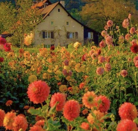 Oddly Aesthetic, Liminal Spaces, Spring Aesthetic, Pretty Photos, Nature Aesthetic, Flower Field, Pretty Places, Dream Garden, Farm Life