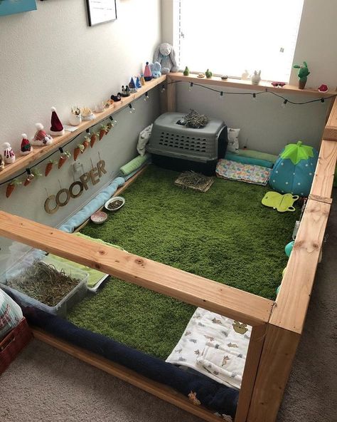 Diy Bunny Cage, Indoor Rabbit House, Diy Rabbit Cage, Rattus Rattus, Indoor Rabbit Cage, Diy Guinea Pig Cage, Rabbit Enclosure, Puppy Room, Bunny Room