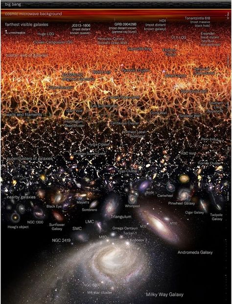 From Earth to the cosmic microwave background -- a logarithmic representation of the entire visible universe. Beautiful work by @budassiuniverse https://www.visualcapitalist.com/cp/map-of-the-entire-known-universe/ . Science Core, Multi Universe, Observable Universe, Structure Of The Universe, Cosmic Microwave Background, Astronomy Facts, Space Stuff, Space Facts, Anime Watch