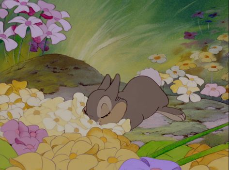 Bambi Bambi Disney, Bambi And Thumper, Disney Gif, Disney Animals, Old Disney, Pinturas Disney, Disney Aesthetic, The Rabbit, Vintage Cartoon