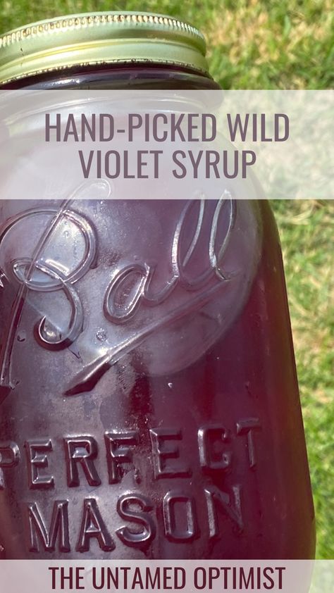 Today we're making wild violet syrup which can be used as a simple syrup in baking, a natural sweetener, or even in Wild Violet Lemonade! Wild Violet Syrup, Wild Violet Lemonade Recipe, Wild Violet Lemonade, Violet Lemonade Recipe, Wild Violet Syrup Recipe, Violet Lemonade, Violet Simple Syrup, Violet Syrup Recipe, Violet Syrup