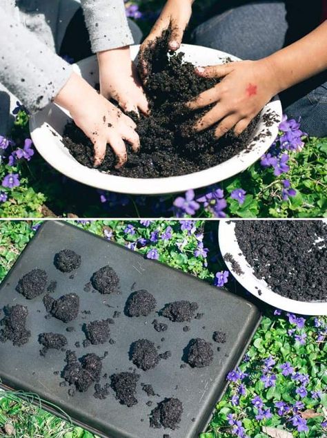 DIY Wildflower Seed Bombs | HelloGlow.co Guerrilla Gardening, Hummingbird Plants, Wildflower Seeds, Potting Soil, Growing Flowers, Easy Tutorial, Flower Seeds, Herb Garden, Diy Flowers