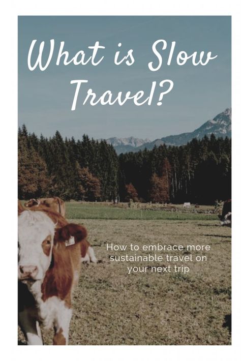 Slow Travel Aesthetic, Mindful Travel, Adventurous Life, Ethical Travel, Eco Travel, Green Travel, Slow Travel, Eco Friendly Travel, Travel Bug