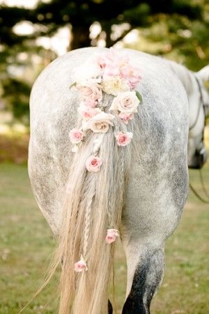 Pretty equestrian touches for a lovely country wedding! Arte Haida, Horse Braids, Horse Braiding, Equestrian Wedding, Tail Braids, Horse Wedding, Horse Mane, Horse Tail, Foto Tips