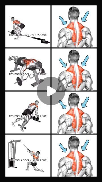 Trap Workout, Side Bridge, Dumbbell Row, Traps Workout, T Bar Row, Leg Lifts, Gym Exercise, Fitness Gym, Stay Fit