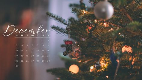 20 FREE DECEMBER 2023 DESKTOP CALENDAR BACKGROUNDS (EASY DOWNLOAD) Aesthetic Wallpaper December, Wallpaper December, December Pictures, Christmas Desktop Wallpaper, December Wallpaper, Calendar Background, Christmas Desktop, Christmas Tree Background, Desktop Wallpaper Organizer