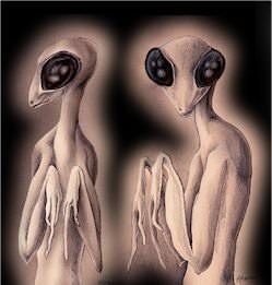 A Guide To Earth’s Extraterrestrial Races - In5D : In5D Mantis Concept Art, Alien Videos, Ufo Art, Alien Encounters, Grey Alien, Angel Drawing, Night Sky Wallpaper, Alien Concept, Alien Abduction