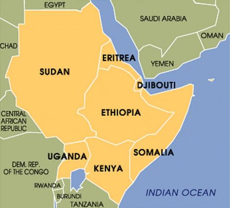 Horn of Africa nations’ new regional initiative gets proposal of $15bn financing Humanitarian Projects, Horn Of Africa, Conflict Management, Nation State, The Horn, New Africa, Head Of State, African Countries, East Africa