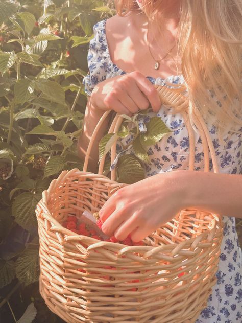 Photoshoot 
Aesthetic 
Cottagecore 
Berry picking 
Dress Berry Picking Basket, Raspberry Picking Aesthetic, Berry Picking Aesthetic, Peach Picking, Strawberry Picking Aesthetic, Picking Berries Aesthetic, Picking Strawberries Aesthetic, Cottagecore Girl, Berry Garden