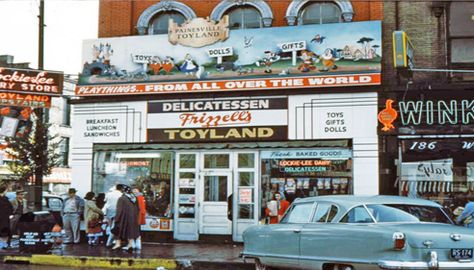 Toyland, Painesville Ohio Northeast Ohio, Roadside Attractions, I Remember When, Local History, Doll Gift, Great Memories, Toy Store, The Locals, Old Photos