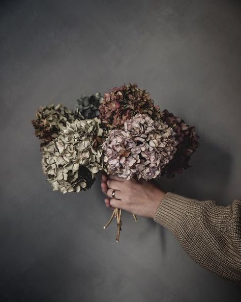 Kitchen Shoot, Dried Hydrangeas, Hydrangea Bouquet, Dried Bouquet, Fall Deco, Commitment Ceremony, Dry Flowers, October 20, Dried Flower Arrangements