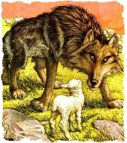 Aesop's Fables | The Wolf and the Lamb Charles Santore, Grimms Fairy Tales, Red Riding Hood Art, Lisbeth Zwerger, Famous Fairies, Aesop's Fables, Aesops Fables, The Big Bad Wolf, Red Pictures