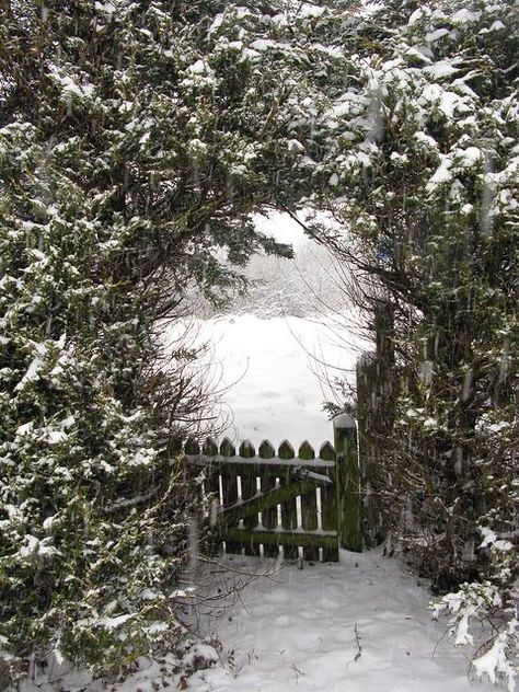 Winter Magic, Winter Beauty, Snow Scenes, Winter Pictures, Winter Wonder, Jolie Photo, Garden Gates, Winter Garden, Winter Time