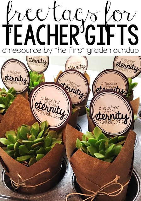 Plant For Teacher Gift, Things To Do For Teacher Appreciation, Plant As Gift Ideas, Teacher Appreciation Succulent Printable, Succulents Teacher Appreciation, Teacher Succulent Gift Tag, Plant Gifts For Teachers, Plants For Teachers Gift, Teacher Appreciation Gifts Succulents