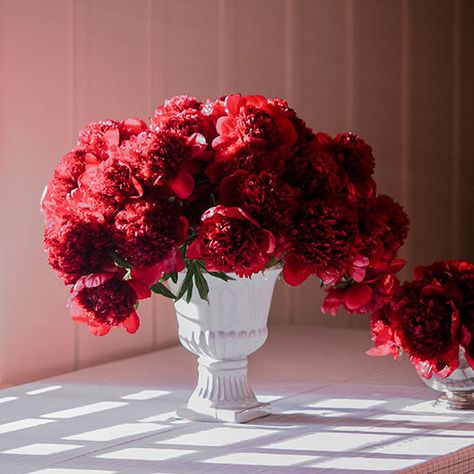 Peony Arrangement, Faux Floral Arrangement, Red Peonies, Bright Florals, Red Rose Flower, Language Of Flowers, Peony Flower, Last Call, Architectural Digest