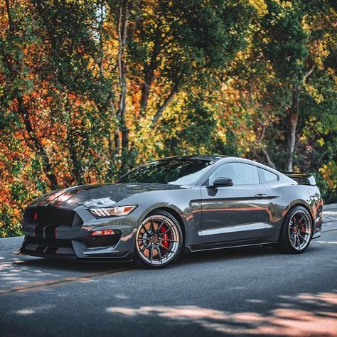 2018 Mustang Gt, 2018 Mustang, Ford Mustang Bullitt, Muscle Cars Mustang, Mustang Bullitt, Mustang Fastback, Street Racing Cars, Ford Mustang Shelby, Sweet Cars